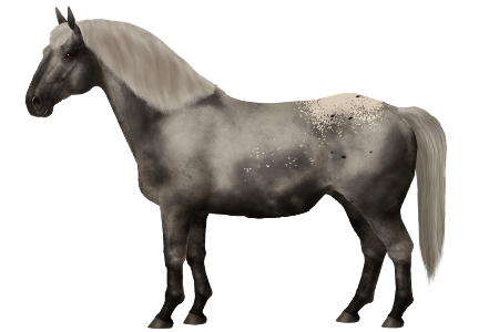 Taishuh Horse